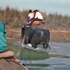 Chitwan Nationalpark Nepal