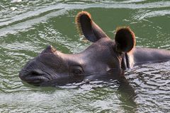 Chitwan NP Nepal