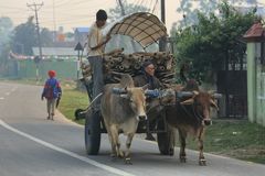 Chitwan NP Nepal