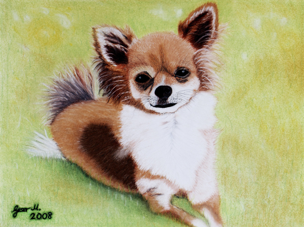 Chiwawa in Pastell