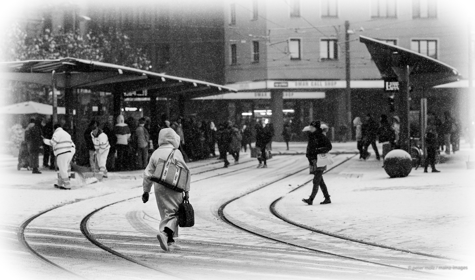 Chloé im Schnee | Mainz