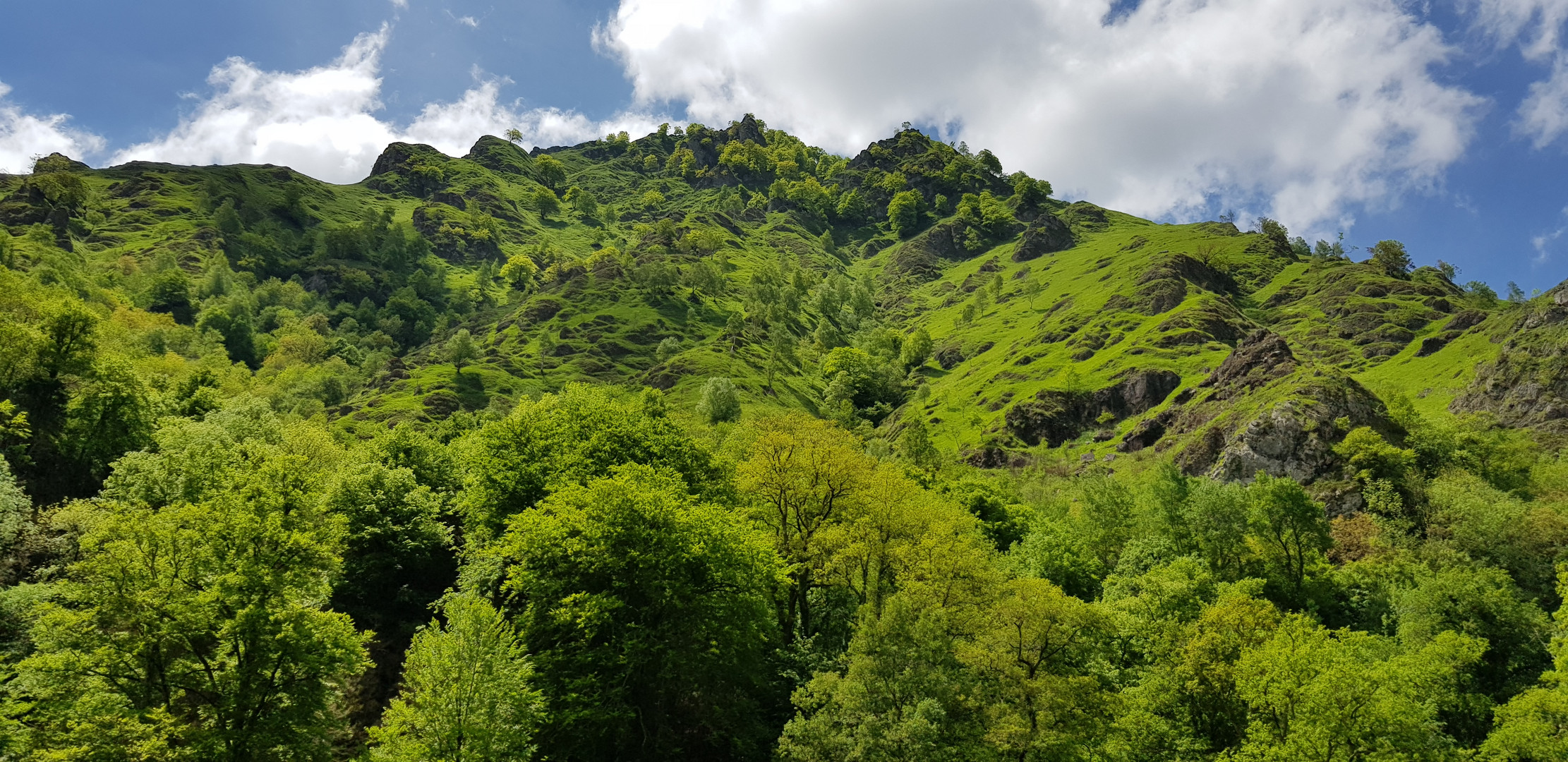 Chlorophylle au Pays Basque