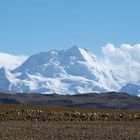 Cho Oyu