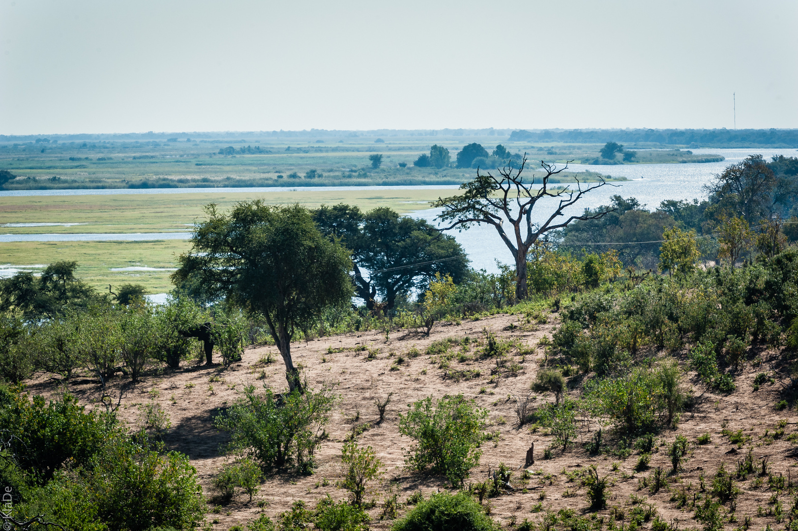Chobe - Blick über den Chobe River