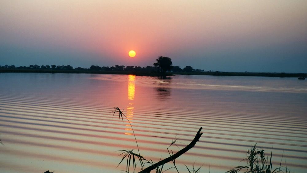 Chobe National Park Botswana