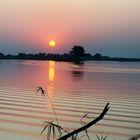 Chobe National Park Botswana