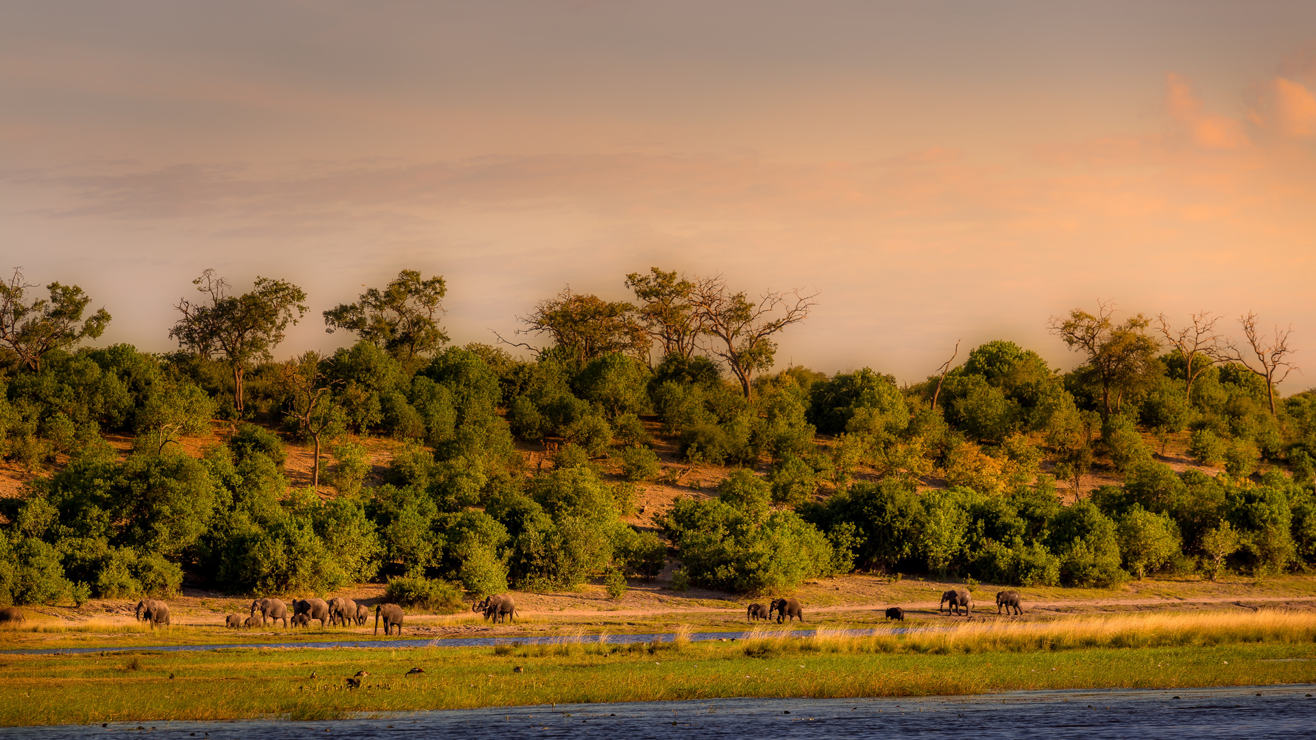 Chobe Nationalpark-Botswana....