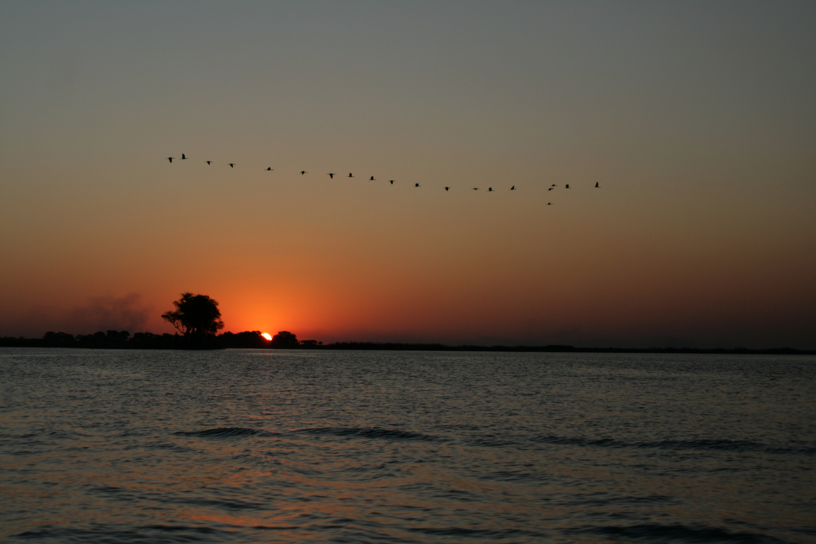 Chobe Nationalpark