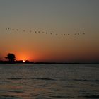 Chobe Nationalpark