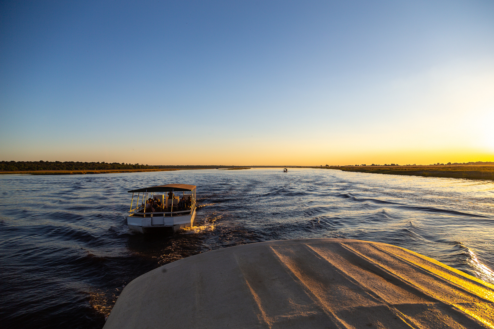 Chobe NP