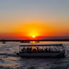 Chobe NP-Golden Hour