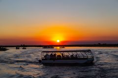 Chobe NP-Golden Hour