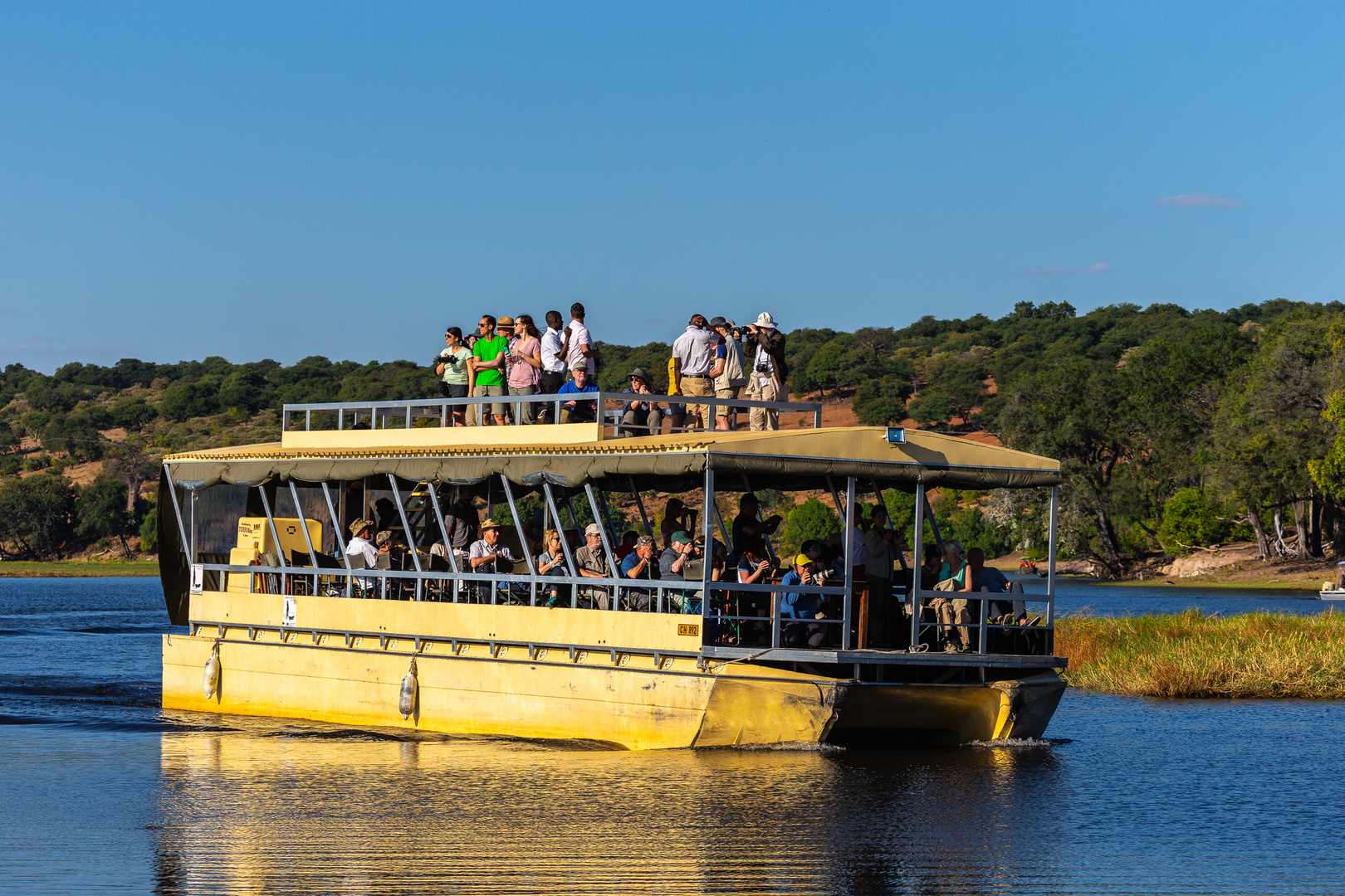 Chobe NP-Golden Hour III