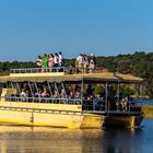 Chobe NP-Golden Hour III