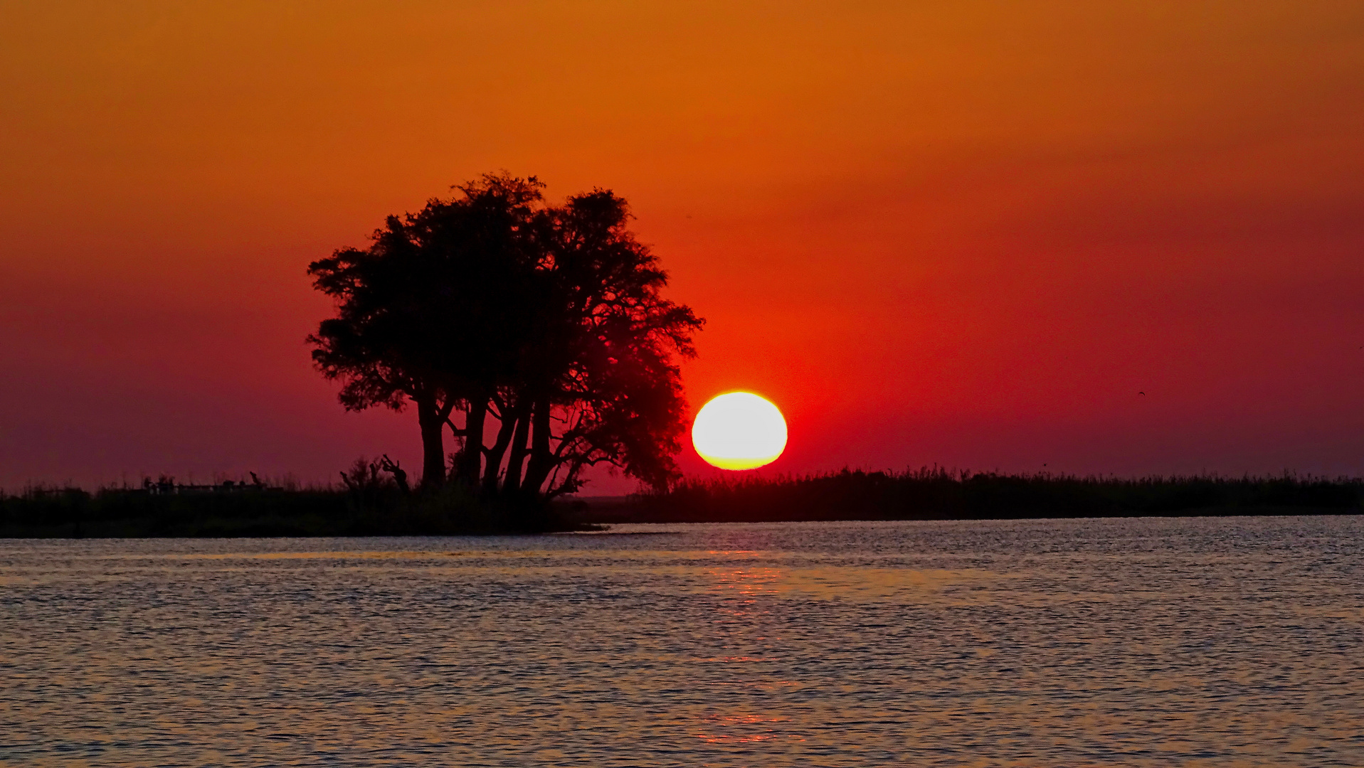 Chobe Park mit Sonnenuntergang