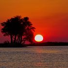 Chobe Park mit Sonnenuntergang