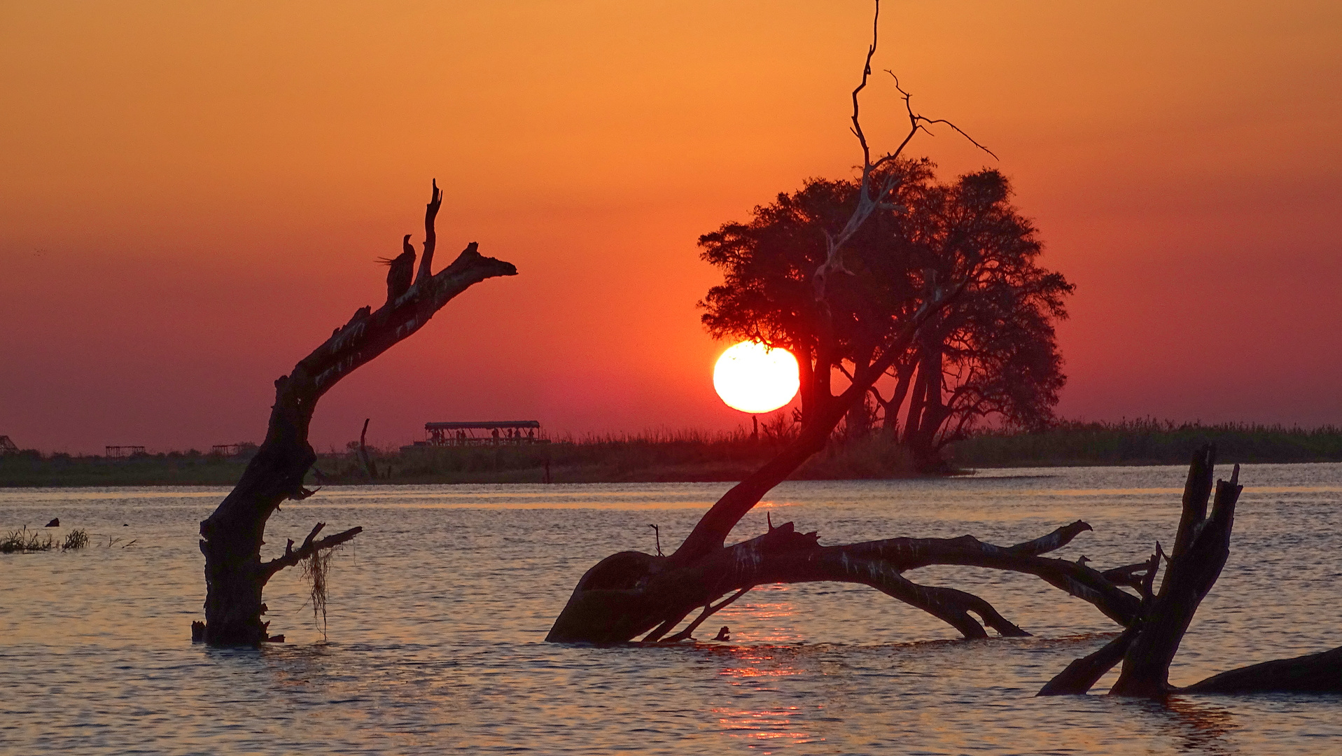 Chobe park Sonnenuntergang
