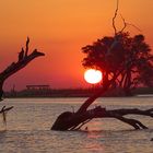 Chobe park Sonnenuntergang