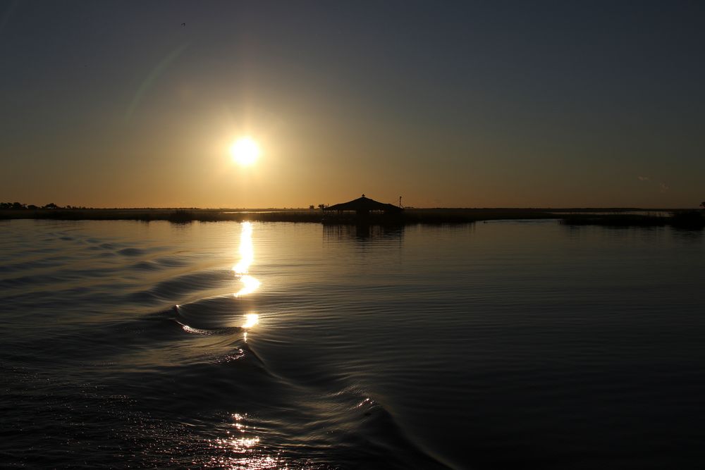 Chobe River