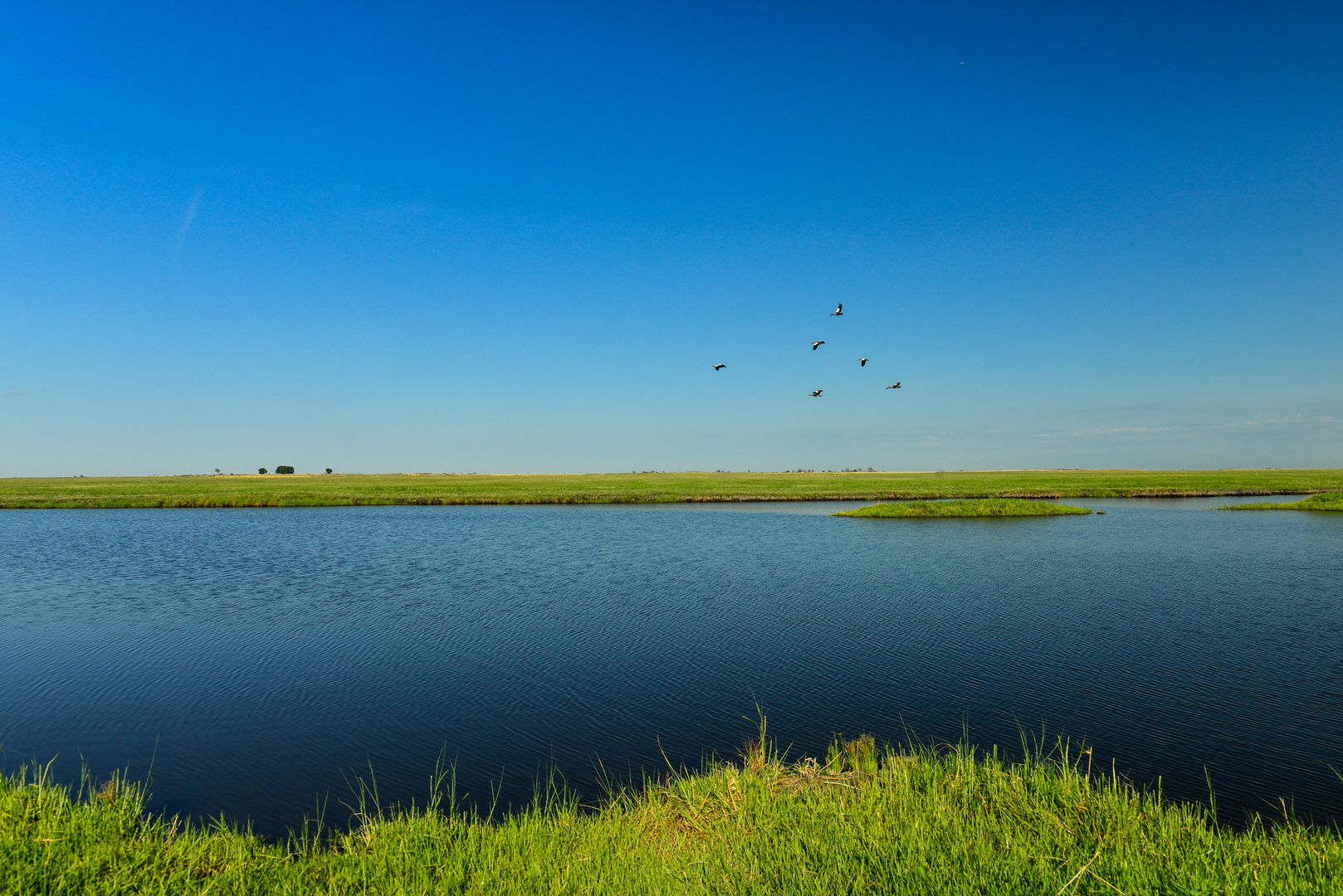 Chobe-River