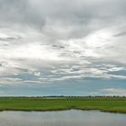 Chobe River