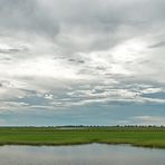 Chobe River