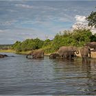 Chobe River Botswana