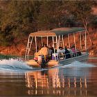 Chobe River Cruise