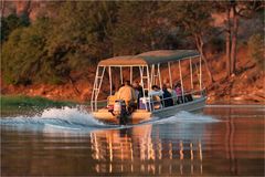 Chobe River Cruise