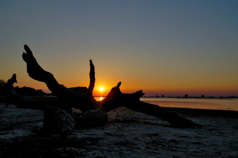 Chobe River Sunset