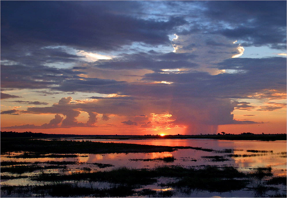 + chobe riverbanks +