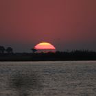 Chobe Safari Lodge