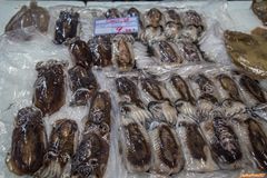 Choco (Sepia) Tintenfisch auf dem Fischmarkt Setubal