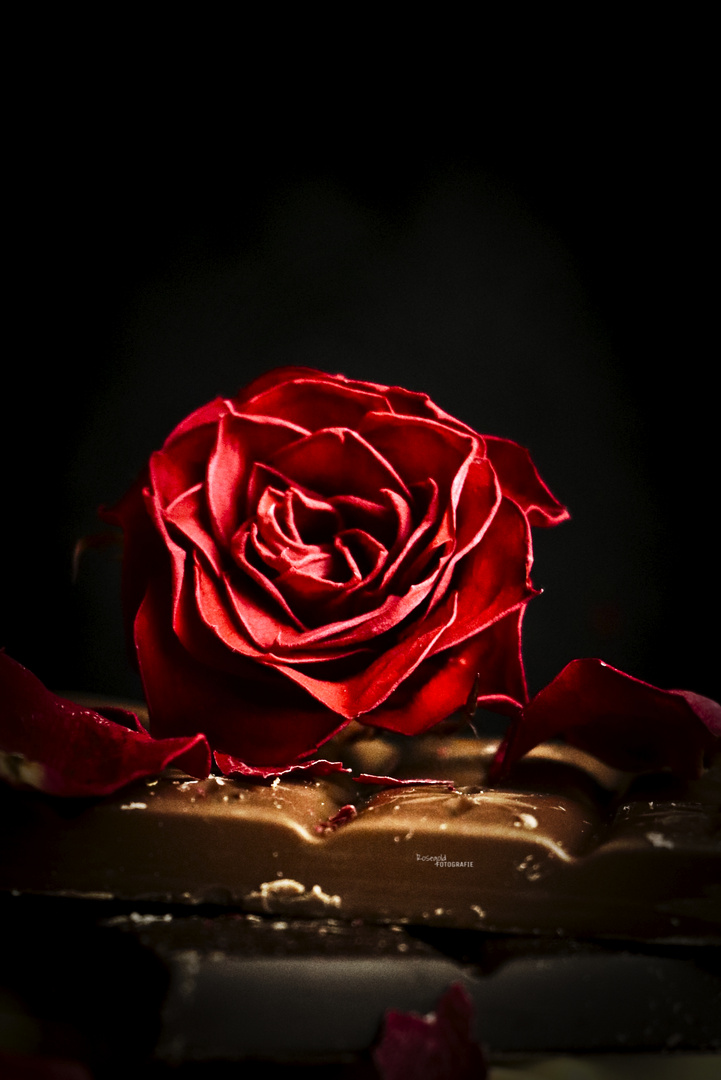 Chocolate and rose