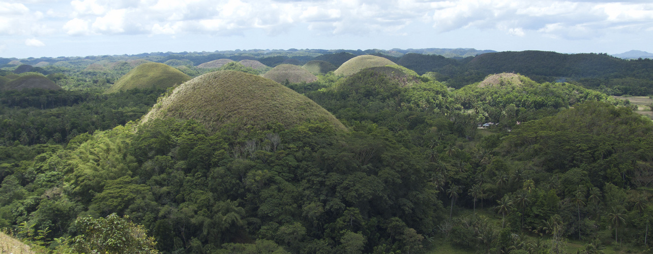 Chocolate Hills