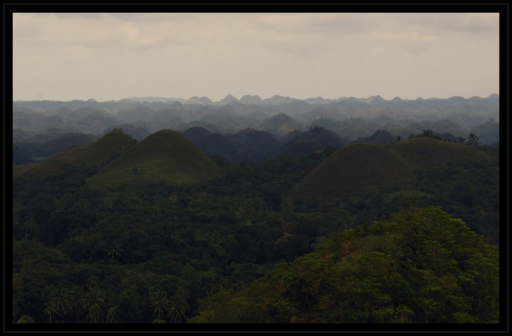 Chocolate Hills...