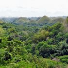 Chocolate Hills