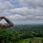 Chocolate Hills - Bohol 