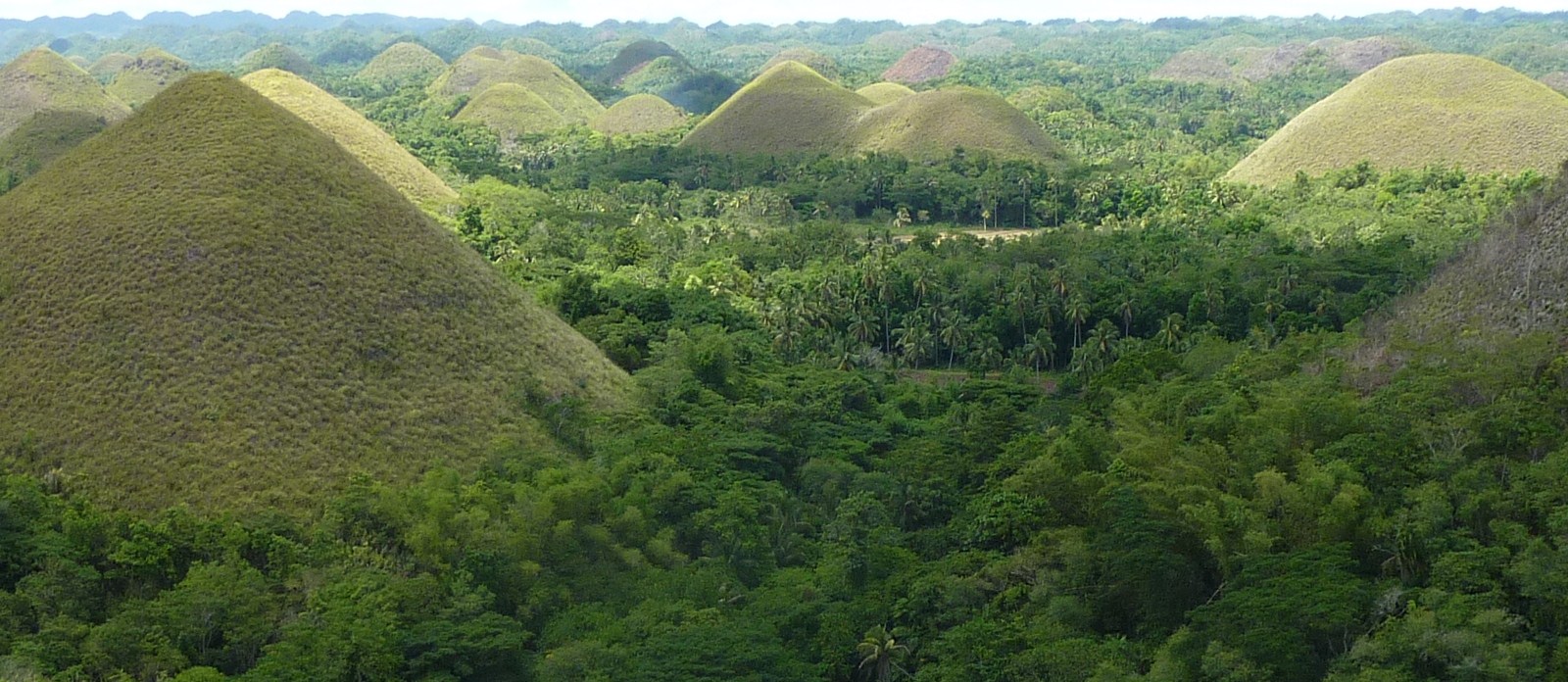 Chocolate Hills, Bohol Island