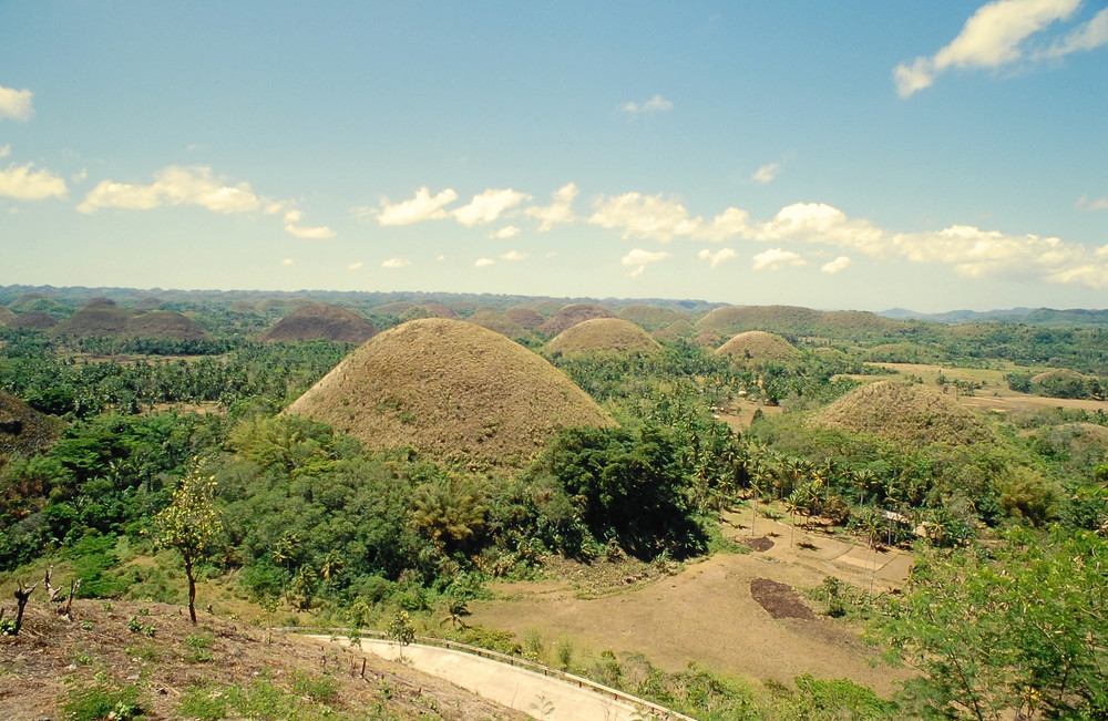 Chocolate Hills /Bohol/Philippines