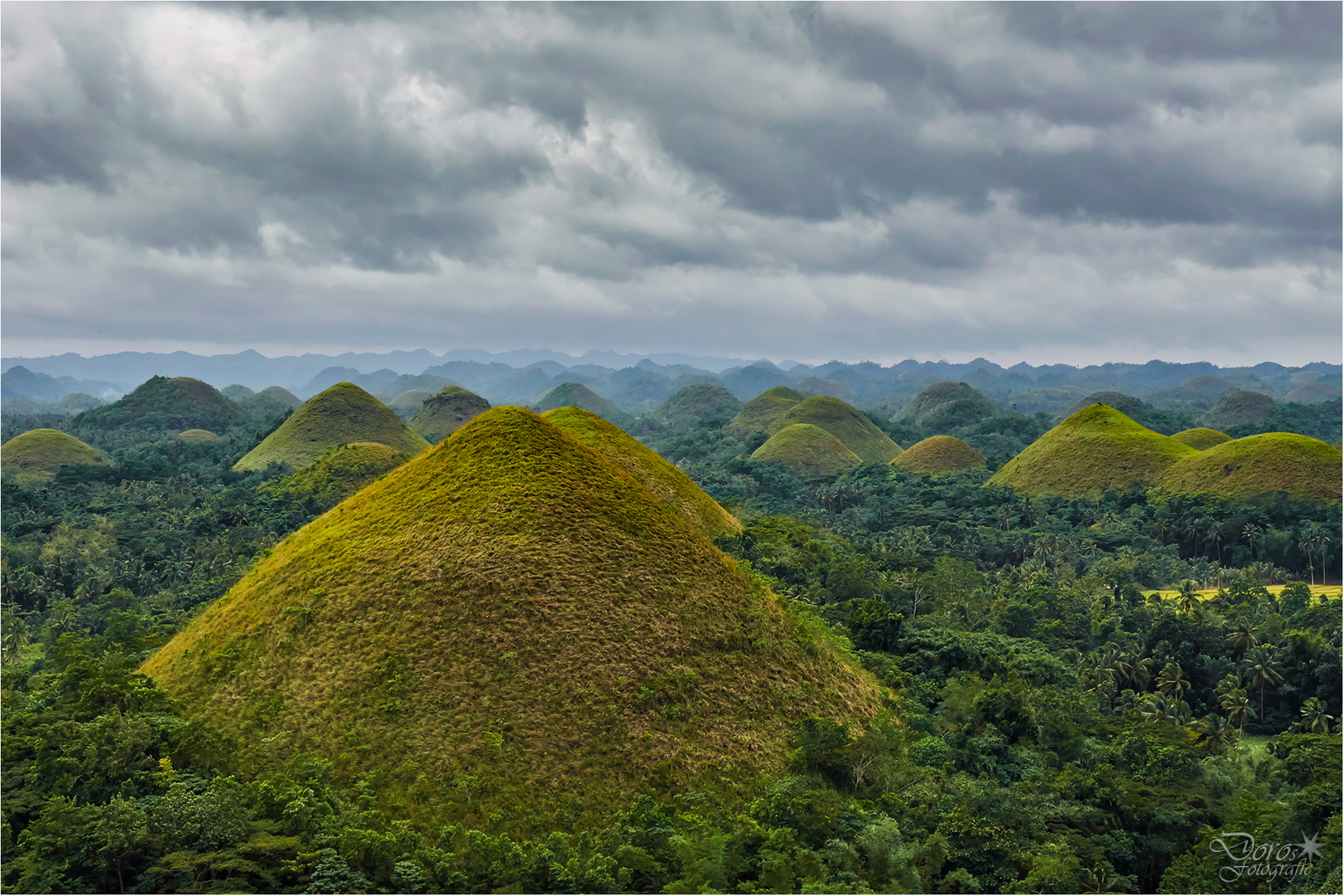 Chocolate Hills