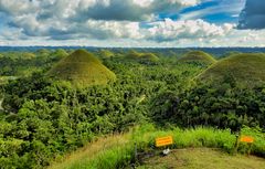 Chocolate Hills im Detail