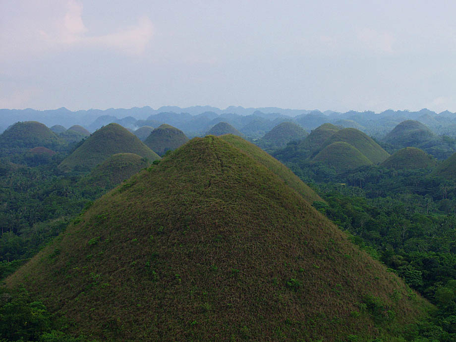 Chocolate Hills nach dem Regen