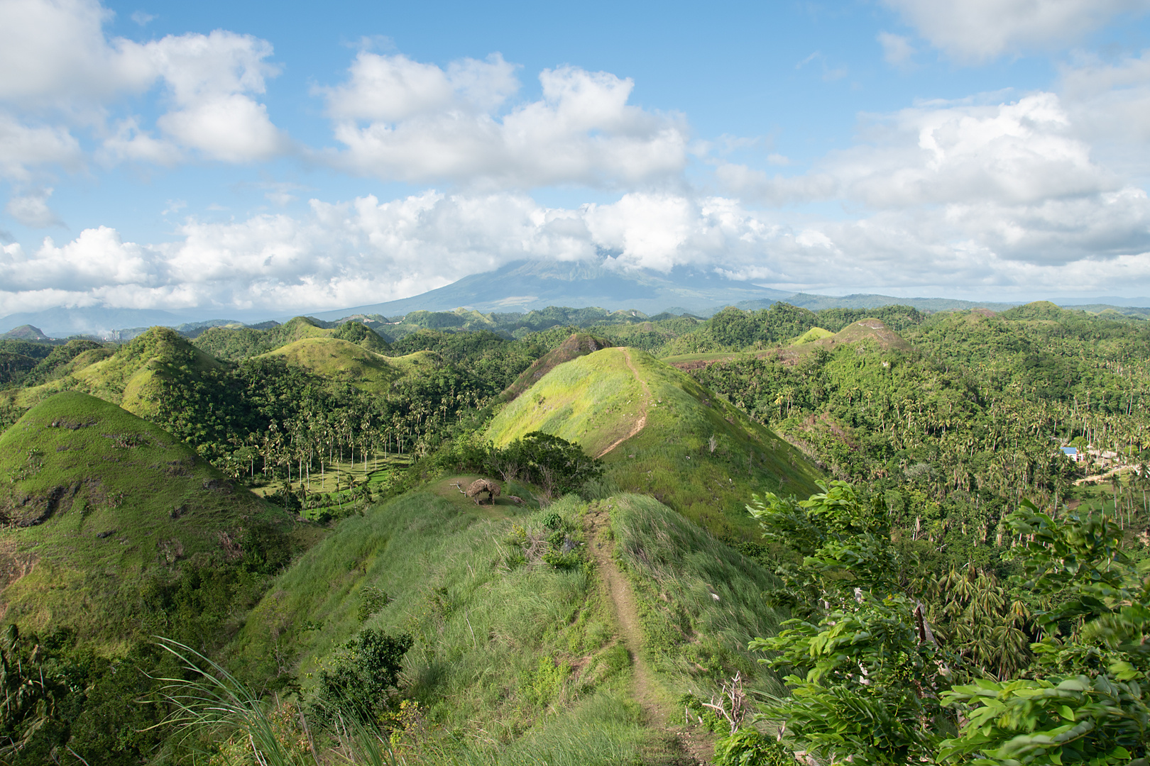 Chocolate Hills Philippinen