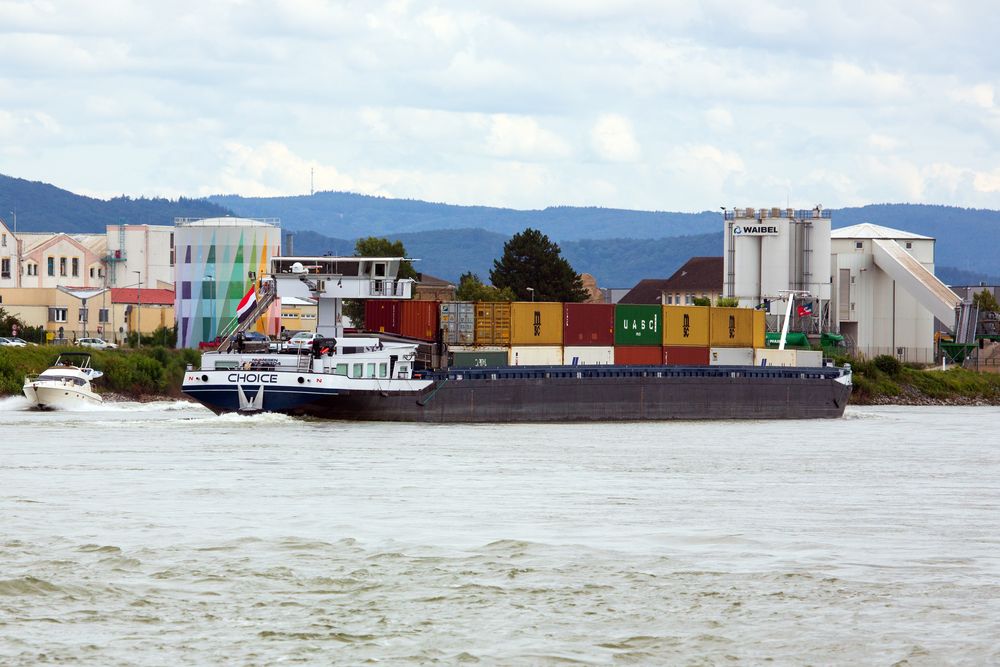 "Choice" bei Biebesheim auf dem Rhein