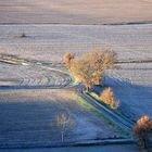 Choisis les couleurs de ton chemin