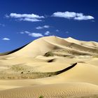 Chongorin Els, Wüste Gobi, Mongolei