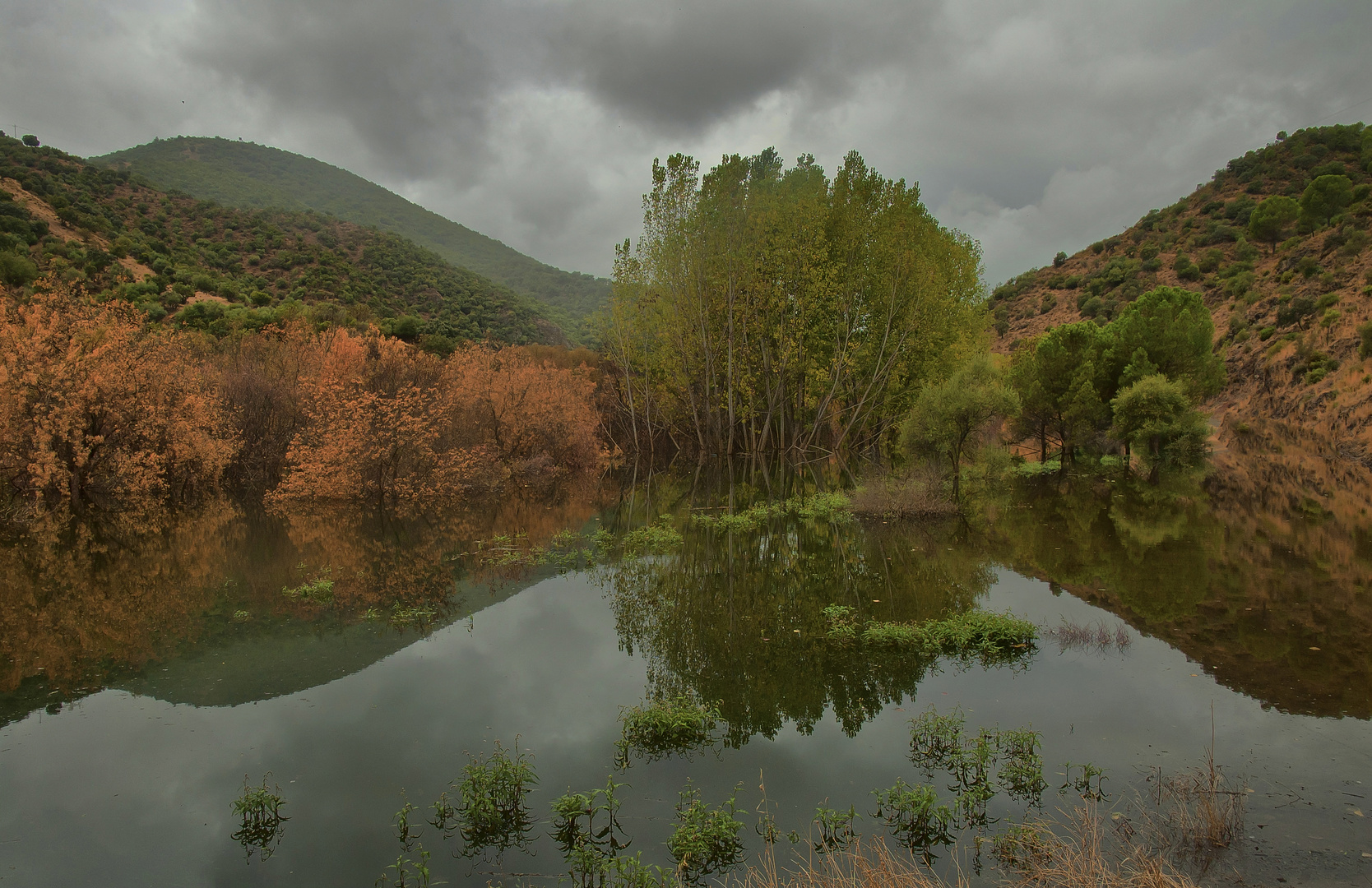 CHOPERA DEL RÍO GUADIATO