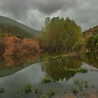 CHOPERA DEL RÍO GUADIATO