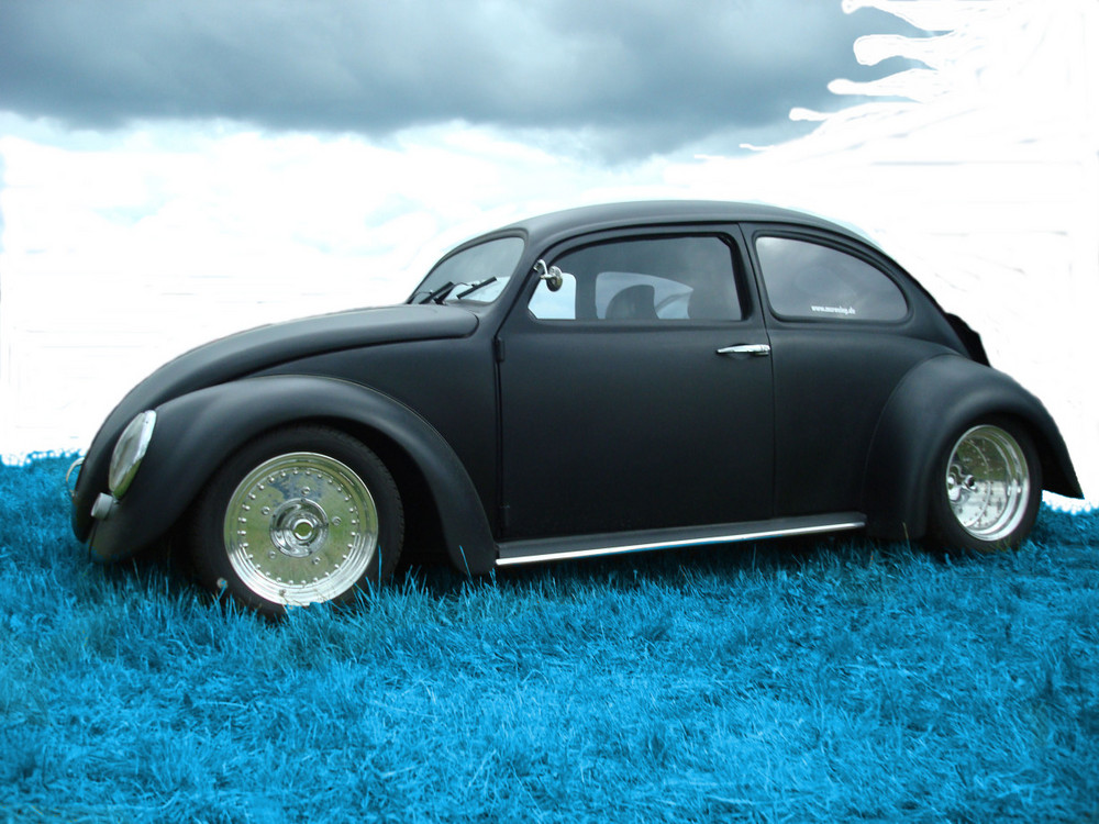 -Chopped Beetle-